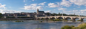 Blois Loire vue panoramique